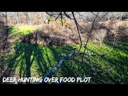 Deer Hunting Over Food Plot | Late Season Update