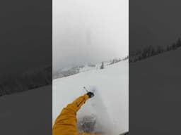 Telemark Skiing Utah | April 3, 2025 #freeheellife #spreadtelemark #skiing #skiingstyle