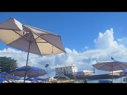 Vibingwithfred is live!
