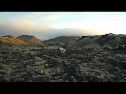 Ring Road (Official Audio) | SORELLE
