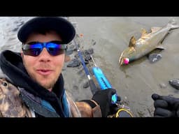 Fishing for King Salmon in Alaska… Then This Happened!