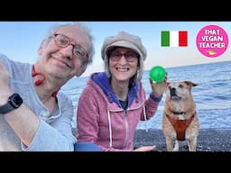 Vegan dog. Vegan husband. Vegan teacher.