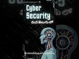What is bug hunting #bugbounty #cybersecurity #ethicalhacking #bugs #bughunting