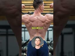 Pull-Ups Or Lat Pulldowns?