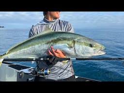 2025 STELLA SW x Hutchwilco NZ Boat Show | The big unveil.