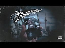 Malkeezy ft Traplandpat - Steppa (Visualizer)