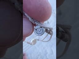 Dune White Kitten Bracelet | The Detecting Duo #shorts #metaldetecting  #floridabeach