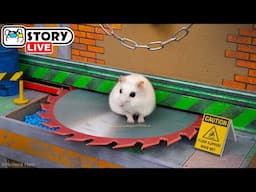 Epic Hamster Escape – Run, Dodge & Survive the Maze! 🐹 Homura Ham Pets