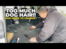 How Much To Charge For This Much Dog Hair - Aesthetic Auto Detailing