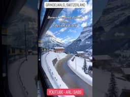 BREATHTAKING SCENIC TRAIN RIDE TO GRINDELWALD SWITZERLAND [Berner Oberland-Bahnen Train, Interlaken]