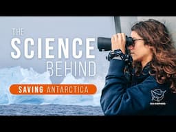Why Krill Matter