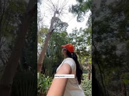 Chill sunday in Mumbai #thingstodoinmumbai #bycullazoo #onedaypicnic