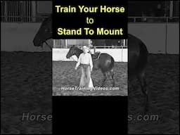 How To Train Your Horse To Stand Still For Mounting #horsetraining #horsemanship