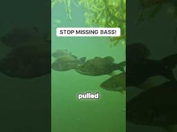 Don’t Miss Fish With This!