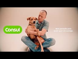 Vai de Consul