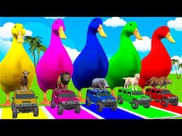 Long Slide Game With Cow Elephant Gorilla Hippopotamus Tiger - 3d Animal Game - Funny 3d Animals