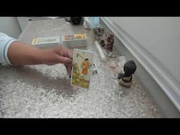 Love Reading - Old Love or New Love? Surprising Answer! Watch Now! #tarot #twinflame #soulmate #love