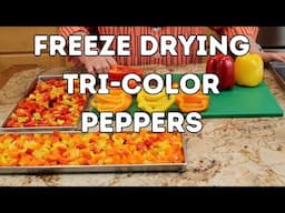 Freeze Drying Tri-Color Peppers