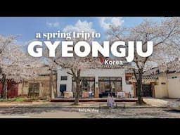 Taking myself on a solo Trip to Gyeongju | Cherry Blossom Spots, Local Food | Spring in Korea VLOG 🌸