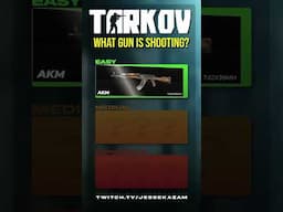 Can you guess these gun sounds in Tarkov?