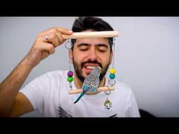 Top Things Every Bird Owner Needs!