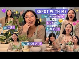REPOT WITH ME 💜🌱 chill vibes, leaf shape terminology, lithops project, unboxing pots ✨ announcement