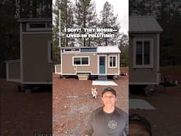 Full-time lived-in #tinyhouse — would you live here? 🏡 #housetour #hometour #tinyhome #ADU #cottage