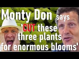 Monty Don says ' Cut these three plants now for enormous flowers' - Worst advice ever!