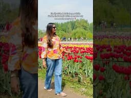 OMG! finally saw🌷this emoji in REAL LIFE!! 😍 #shorts #ytshorts #kashmir #srinagar #tulipgarden