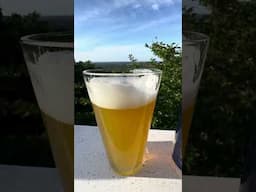 Wicked Weed Brewing Perni Hazy IPA #IndiaPaleAle #IPA
