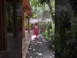 The most beautiful and green cafe in Bangkok 🇹🇭 Natura Cafe, Thailand