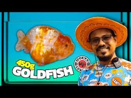 450g GOLD FISH | BIGCHAN BROTHERS EXPORT QUALITY GOLDFISH (INDIA 🇮🇳)