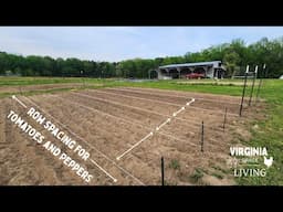 In Ground Row Spacing for Peppers and Tomatoes - Gardening Tips