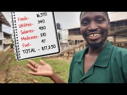 How Much it REALLY Costs  to run a 12,000 capacity Chicken Farm