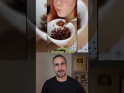 Insetos