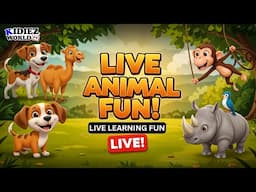 Fun Animal Learning Live | Dog, Camel, Monkey, Rhino with Real Videos