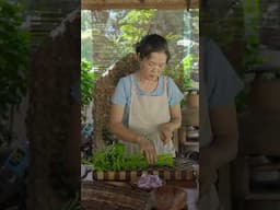 Buhay Probinsya Harvest Filipino Vegetables to Cook Filipino Food Kangkong | Koreans in Philippines