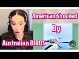 American SHOCKED by Australian Birds | Compilation