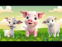 Cute Farm Animals: Sheep, Goat, Cow, Duck, Chicken – Animal Video