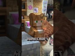 Transferred Coco In To Minecraft, Is He Gaming? 🤔 🎮