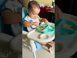 মেহুর messy lunch ( day4 ) KidsLunch #LunchBoxIdeas #HealthyKidsLunch #ToddlerLunch #LunchForKids