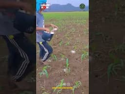 Skilled labour Fertilizing Farm