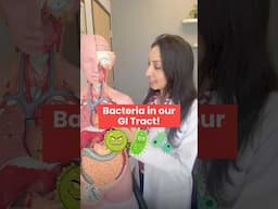 🦠 Your Gut's Bacterial Universe Revealed. #shorts #guthealth