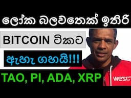 ලෝක බලවතෙක් ඉතිරි BITCOIN ටිකට ඇහැ ගහයි!!! | TAO, PI, ADA, OM, AND XRP