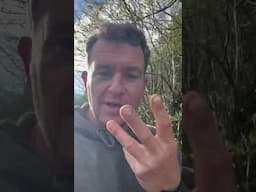 #bushcraft #nature #rewilding #conservation #forestschool
