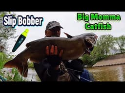 Shore Fishing Big Channel Cats in the hood - 2025