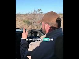 What It’s Like to Get Charged by a Lion #LionCharge #AfricanSafari #WildlifeEncounters #TravelWithKi