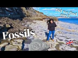 FOSSIL Hunting on the Beautiful Jurassic Coast - UK Vlog