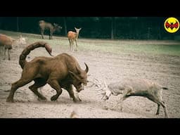 The 10 creepiest animals caught on camera in National parks