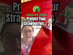 Protect your strawberry plants with this Dollar Tree repurposed food cover! #shorts #gardenhacks